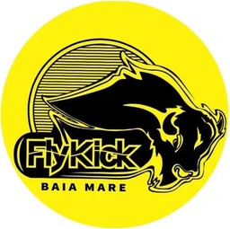 Logo FlyKick Baia Mare